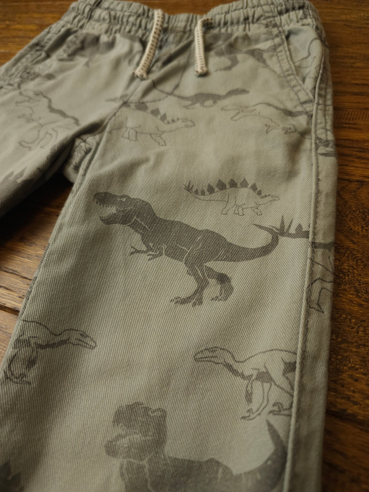 H&M Dinosaur Trousers