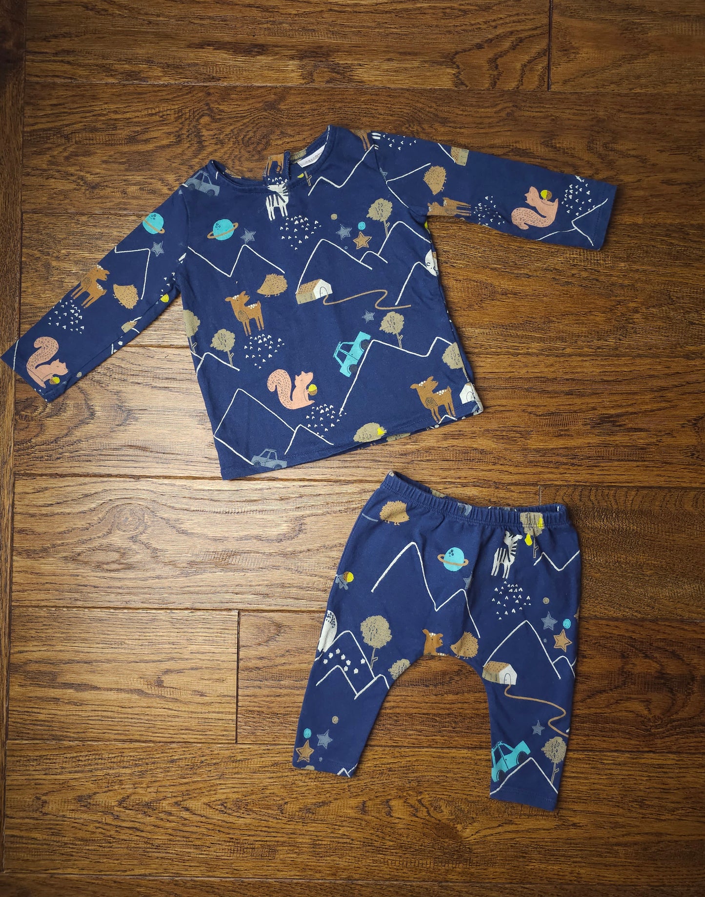 Next Nighttime Animals Mountains Outfit 3-6 Months