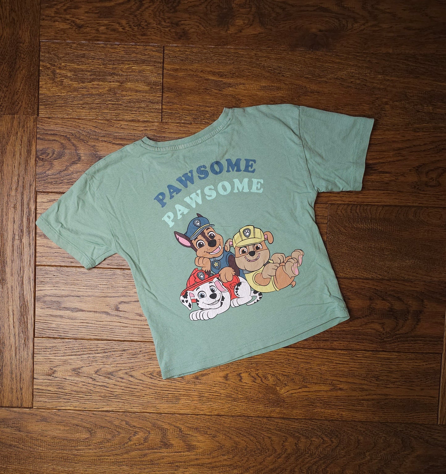 Paw Patrol T-Shirt With Back Decal 2-3 Years