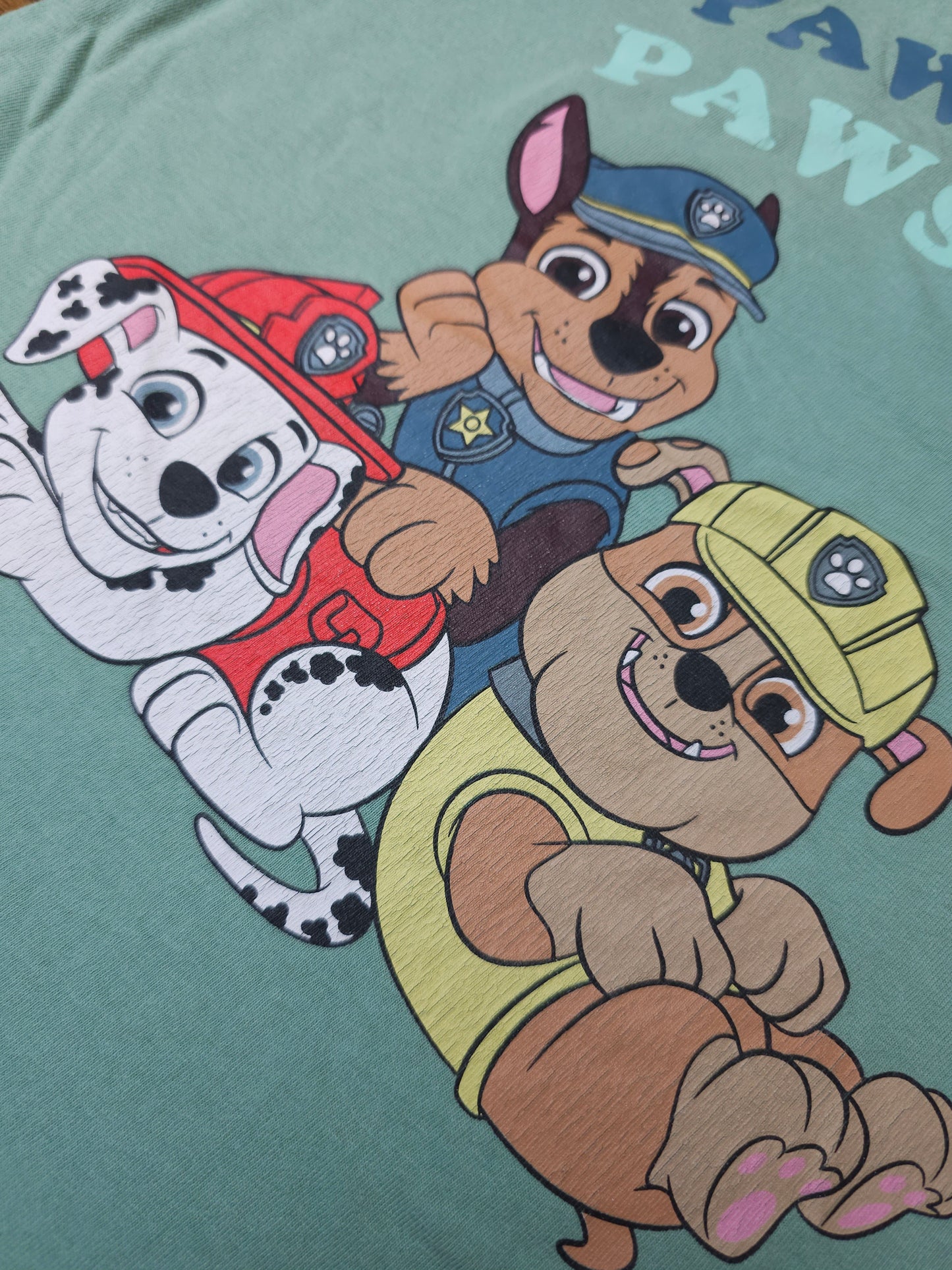 Paw Patrol T-Shirt With Back Decal 2-3 Years