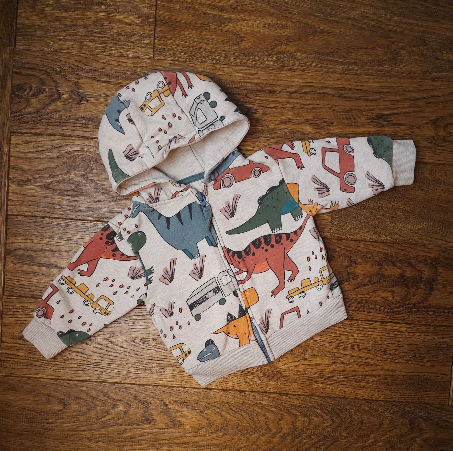 Next Dinosaur Hoodie 9-12 Months.