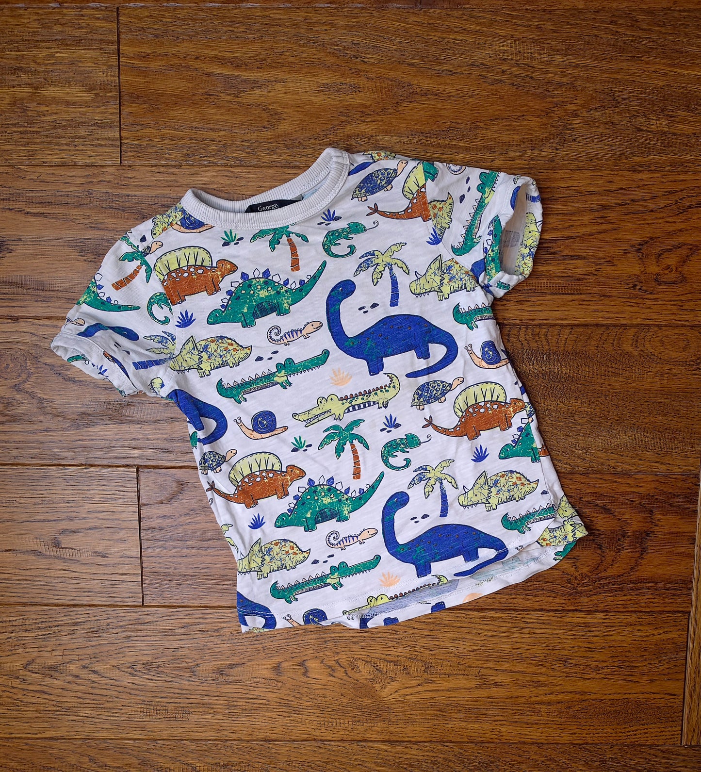 George Dinosaur Reptile T-Shirt 2-3 Years.