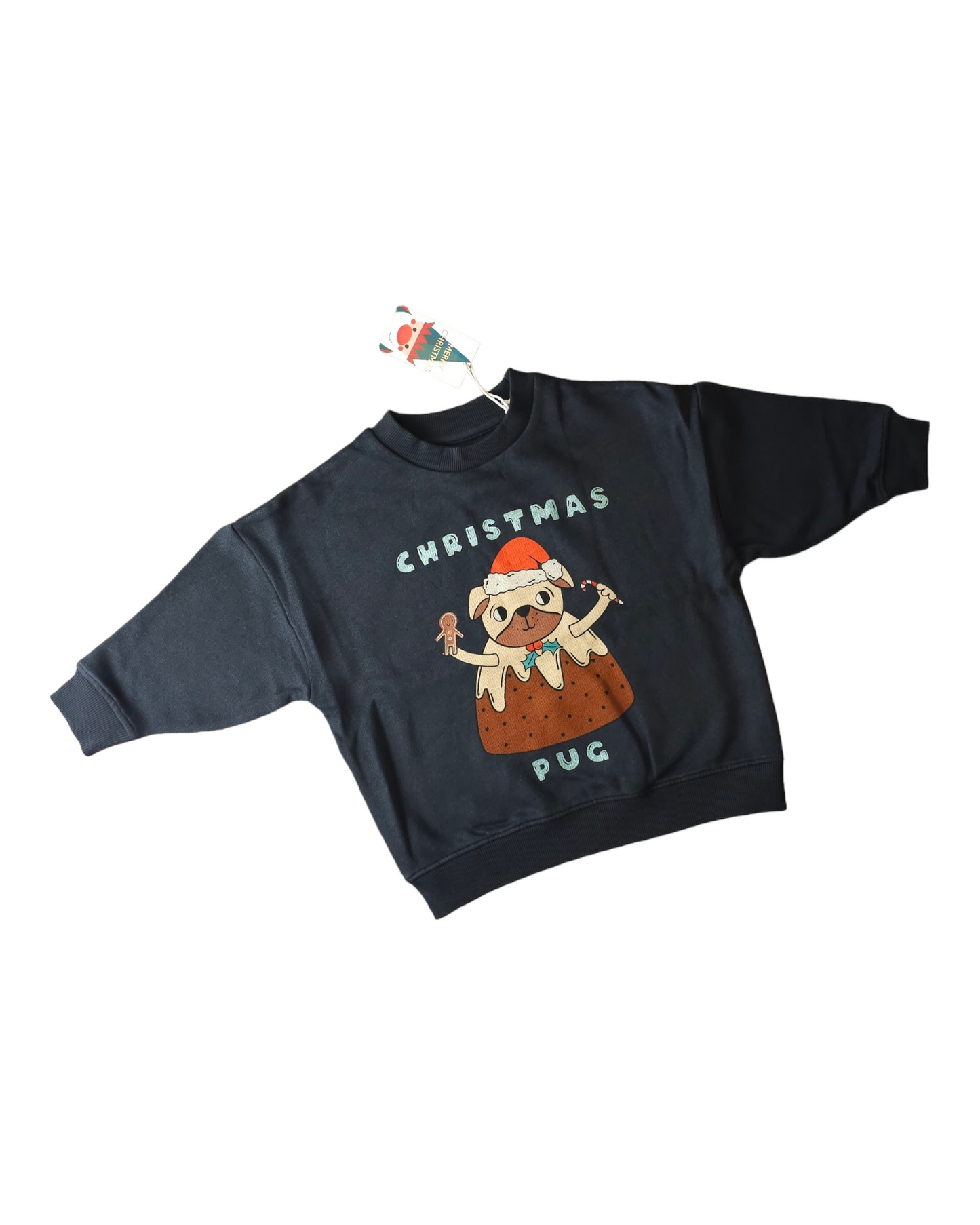 Next Christmas Pug Jumper 18-24 Months