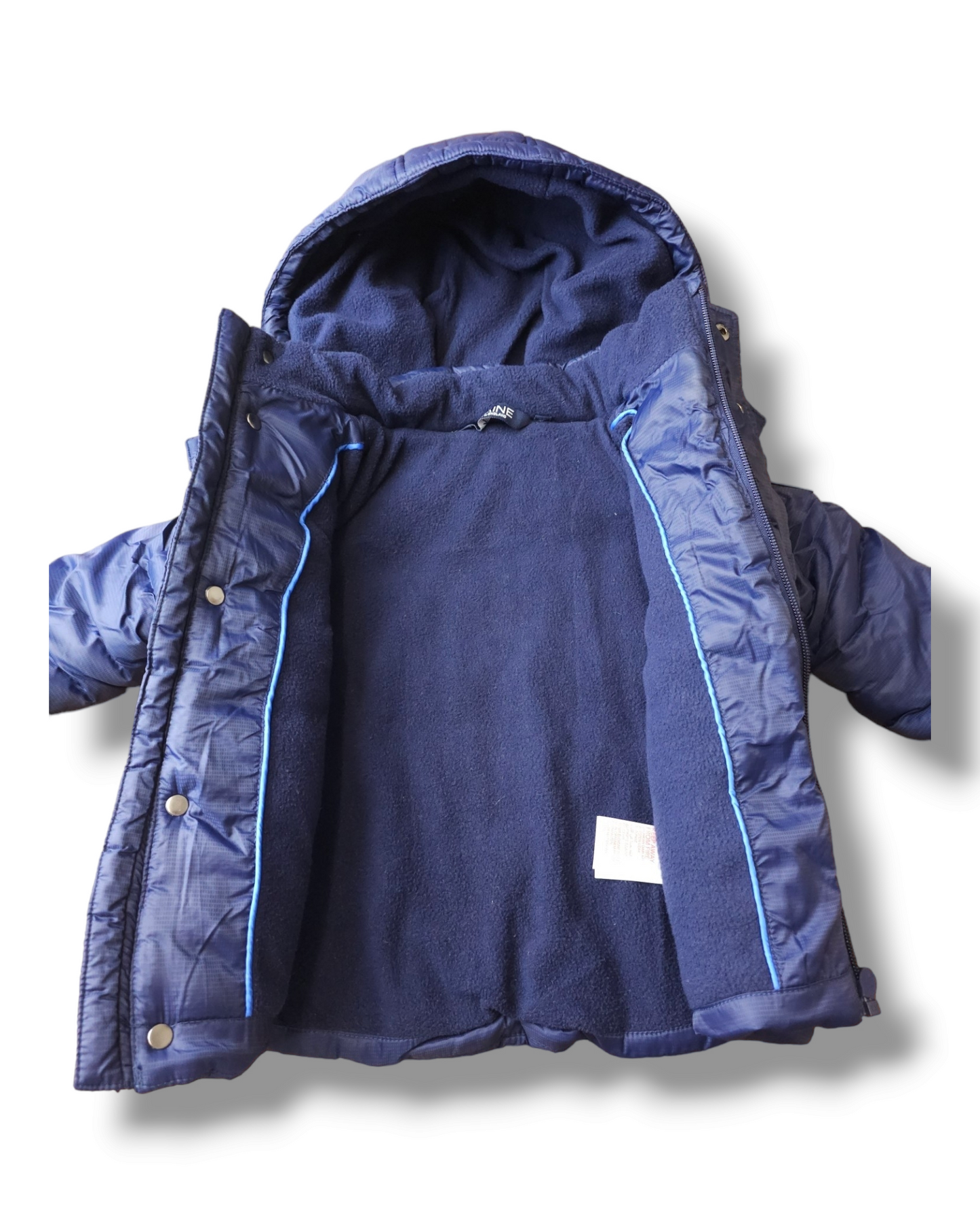 Maine Coat 12-18 Months